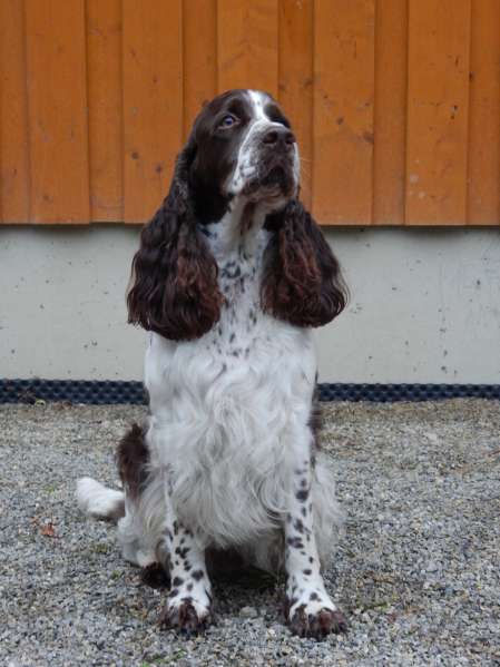 beruska_sv2014kass.jpg, 32kB