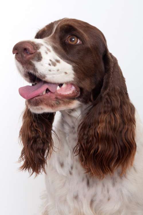 viktorka_2roky_portret.jpg, 28kB