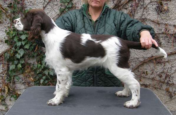 viktorka_4mesice_postoj.jpg, 37kB