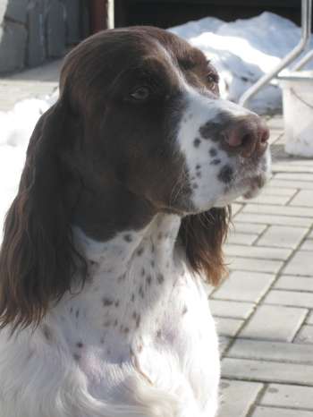 viktorka_8mesicu_portret1.jpg, 14kB