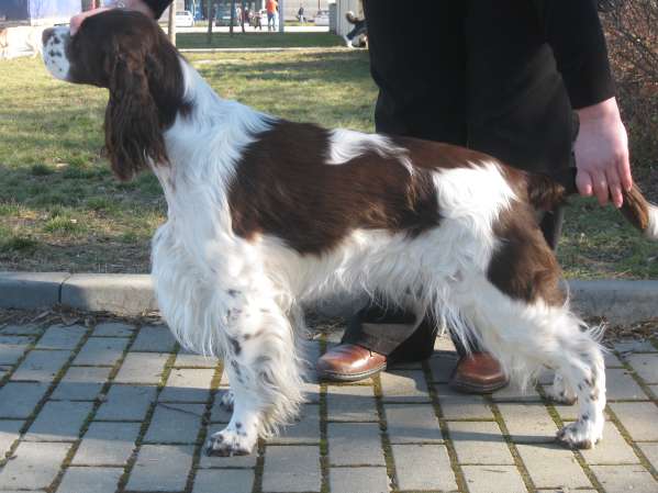 viktorka_duocacib2014.jpg, 34kB